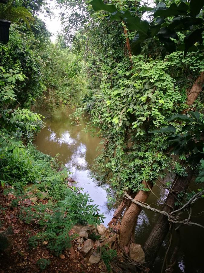 The Creek At Khao Yai Ξενοδοχείο Pak Chong Εξωτερικό φωτογραφία